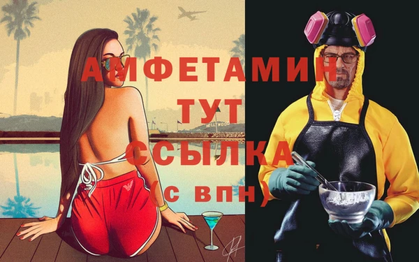 СК Ельня