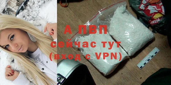 спиды Дмитров