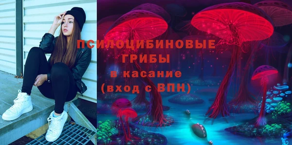 стаф Елабуга