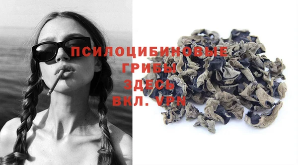 прущий лед Дмитровск