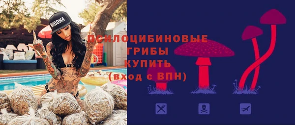 спиды Дмитров